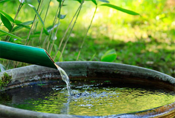 四千坪の庭園を散策